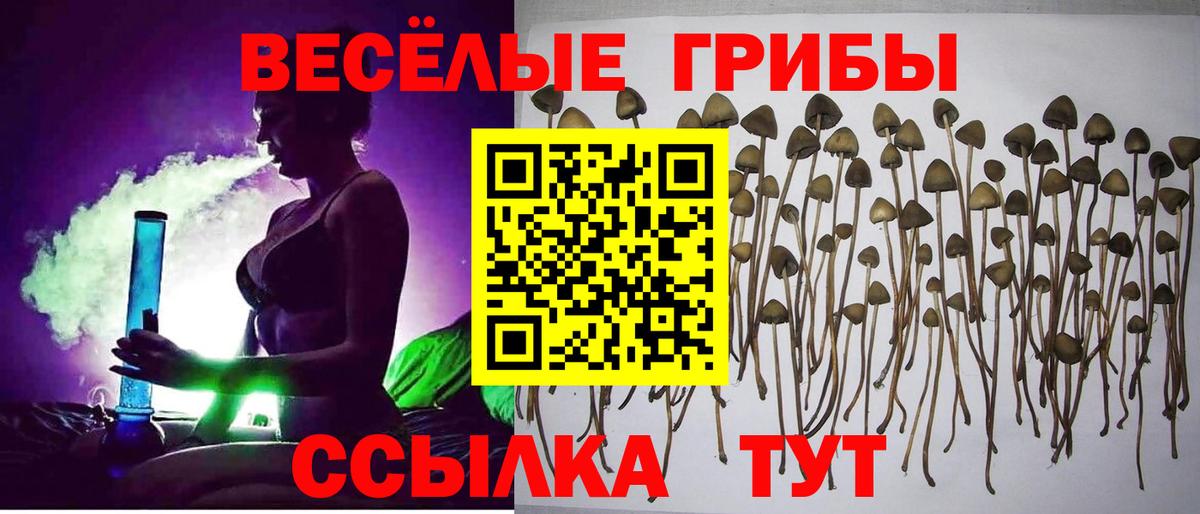 Аргун  Псилоцибиновые грибы GOLDEN TEACHER  Вход с VPN 