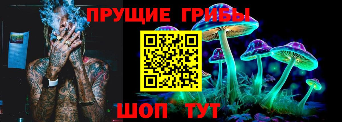 Галлюциногенные грибы Psilocybine cubensis Аргун